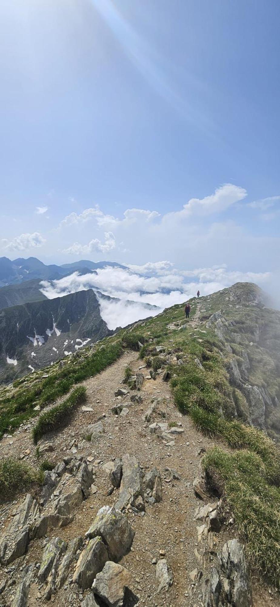 Casa Oaspeti Transfagarasan Apartment คือร์ตีโชอารา ภายนอก รูปภาพ